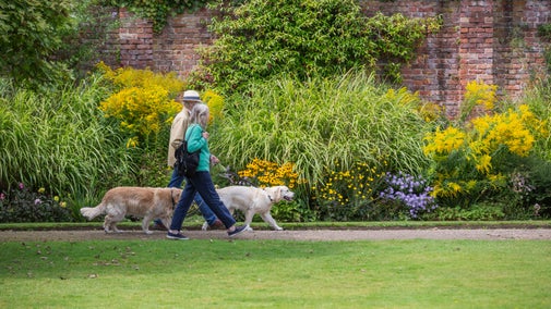 A couple walking with their dogs in the gardens at Tredegar House, Newport, Wales